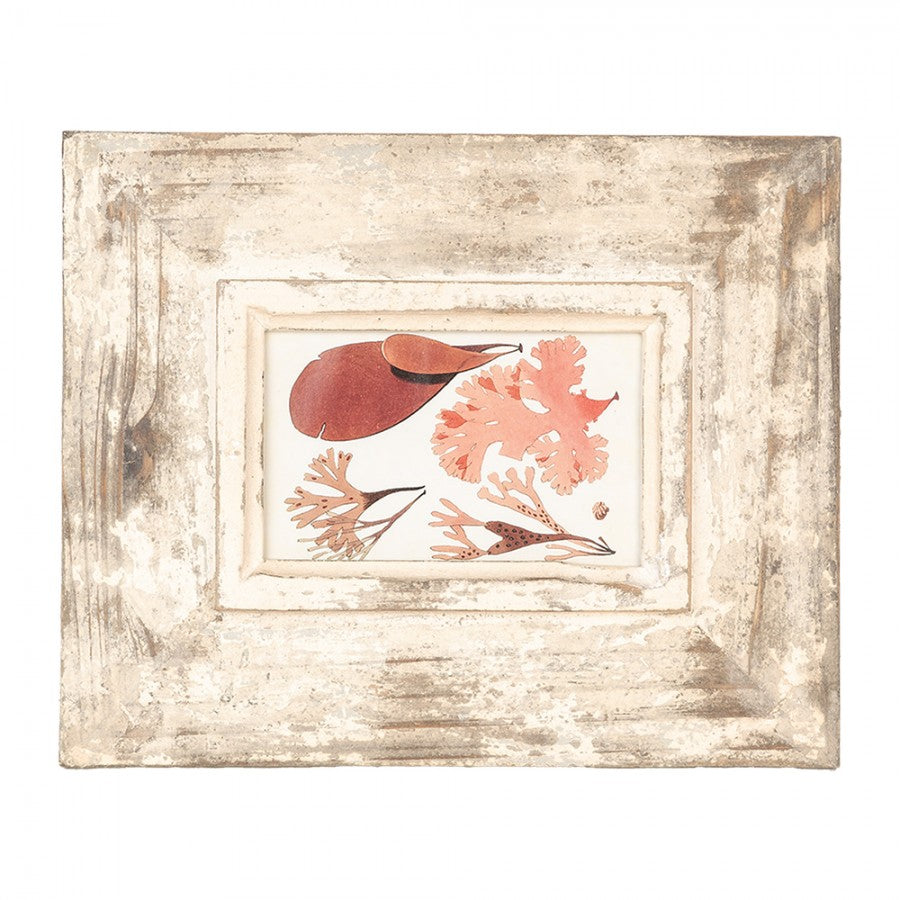 Dekorativer Landhaus-Bilderrahmen 10x15 cm | Clayre & Eef 2F1098