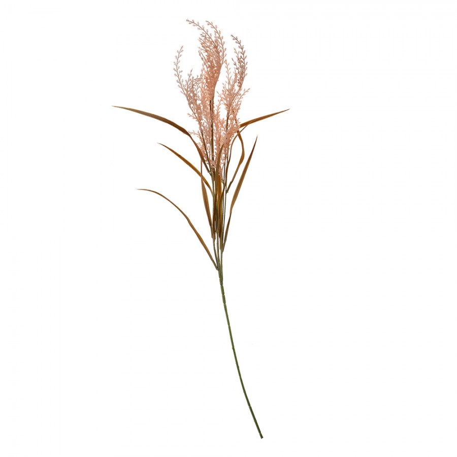 Clayre & Eef Deko-Zweig 88 cm Beige – Trockenblumen-Ast Natur (5PL0056)
