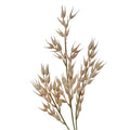 Clayre & Eef Deko-Zweig 72 cm Beige-Braun – Rustikaler Landhaus-Zweig (5PL0061)