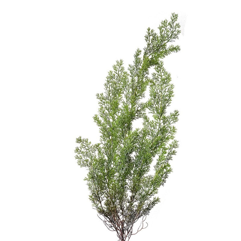 Clayre & Eef Künstlicher Zypressenzweig 100 cm Grün – Deko-Nadelzweig / Cypress (5PL0087)
