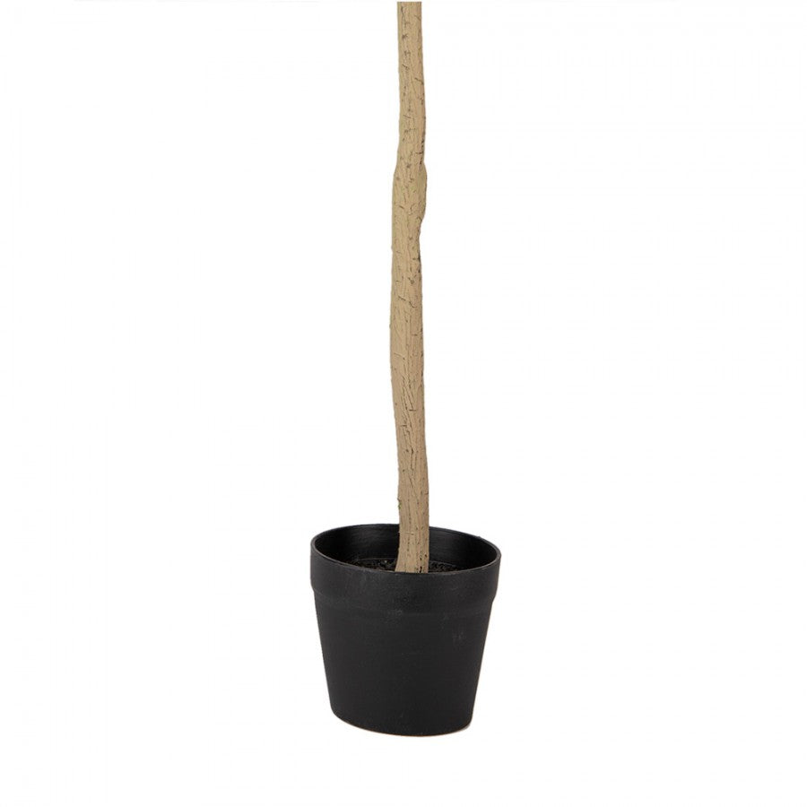 Clayre & Eef Künstlicher Deko-Baum 90 cm – Kunstpflanze Olive Olivenbaum(5PL0149)