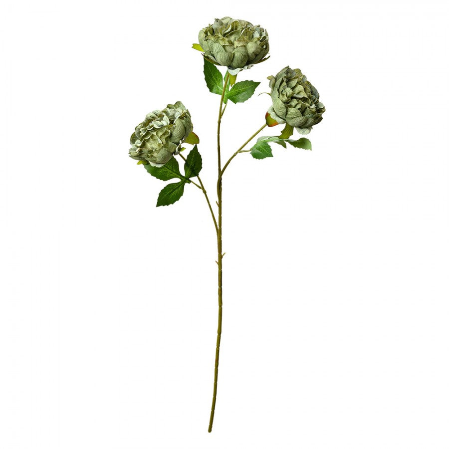 Clayre & Eef Deko-Blütenzweig 80 cm Grün – Botanischer Ast (5PL0166GR)