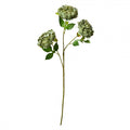 Clayre & Eef Deko-Blütenzweig 80 cm Grün – Botanischer Ast (5PL0166GR)