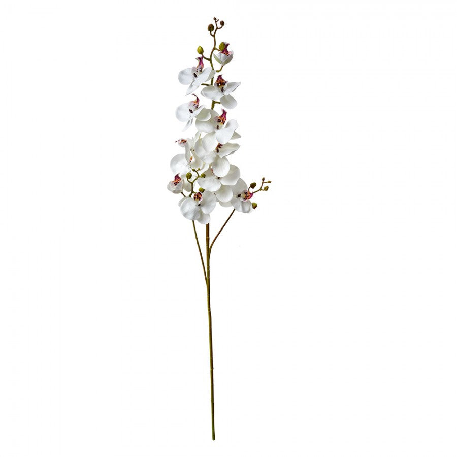 Clayre & Eef Deko-Blütenzweig 116 cm Weiß – Großast Reinweiß Orchideen (5PL0170W)