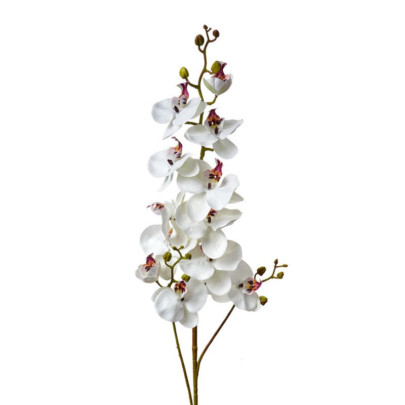 Clayre & Eef Deko-Blütenzweig 116 cm Weiß – Großast Reinweiß Orchideen (5PL0170W)