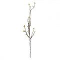 Clayre & Eef Deko-Zweig 116 cm – Filigraner Naturast (5PL0182)