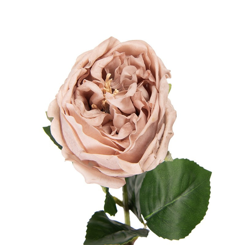 Clayre & Eef Künstliche Rose 43 cm Beige – Deko-Rosenzweig (5PL0236BE)