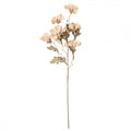 Clayre & Eef Deko-Blütenzweig 82 cm Beige – Ausladender Fächerast (5PL0249BE)