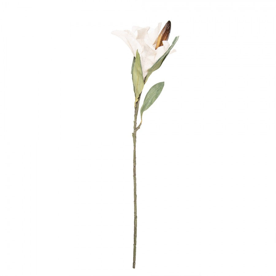 Clayre & Eef Deko-Blütenzweig 88 cm Beige – Fächerast (5PL0252BE)