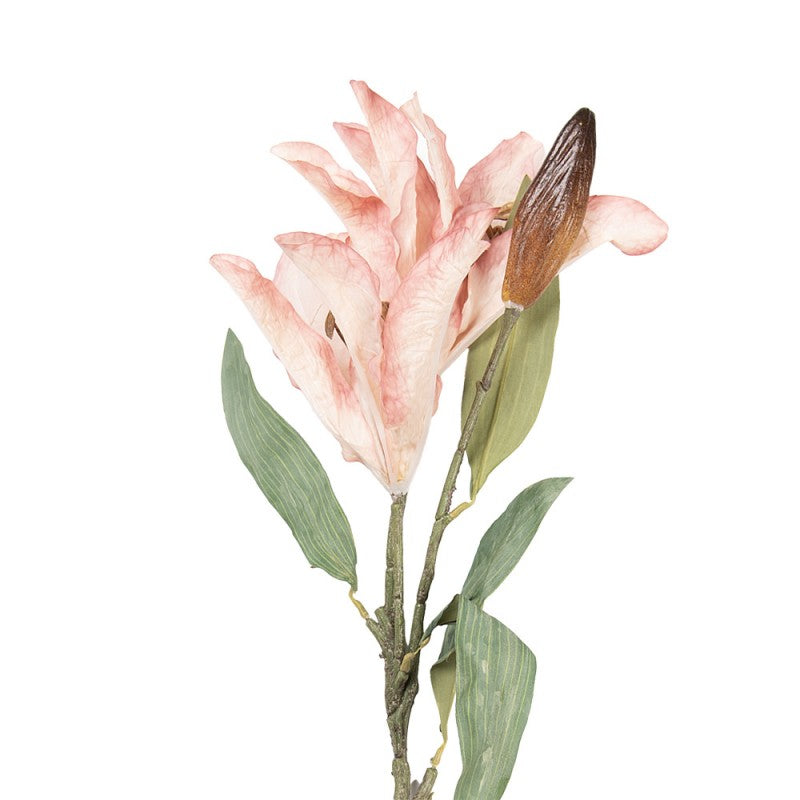 Clayre & Eef Deko-Blütenzweig 88 cm Rosa – Fächerast (5PL0252P)