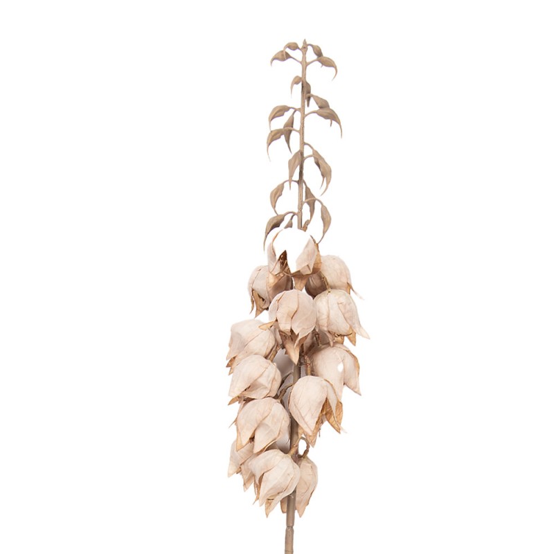 Clayre & Eef Deko-Blütenzweig 100 cm Beige – Blütenast (5PL0257BE)