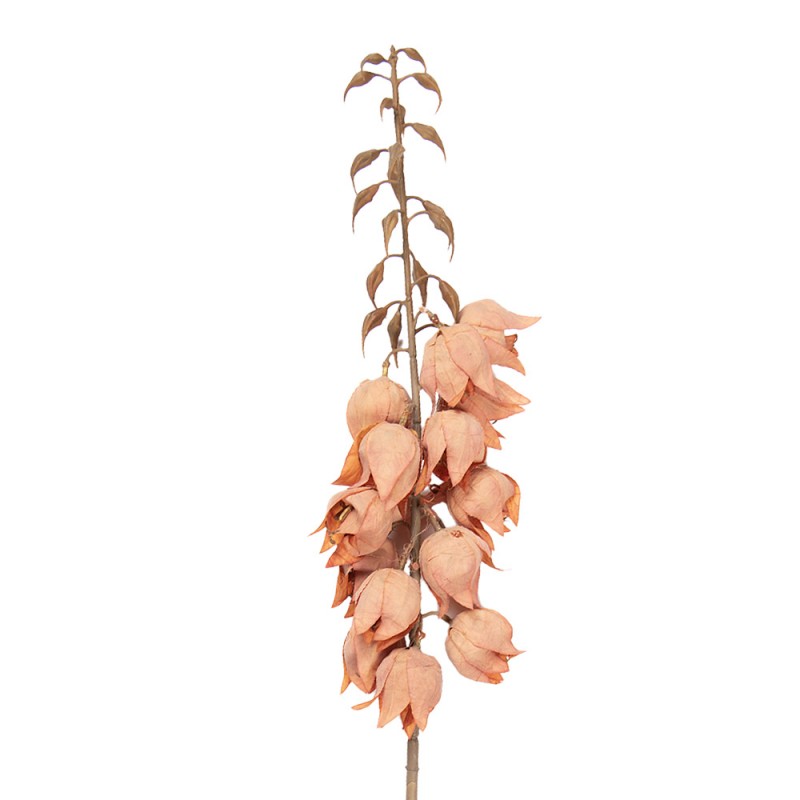Clayre & Eef Deko-Blütenzweig 100 cm Rosa – Blütenast (5PL0257P)