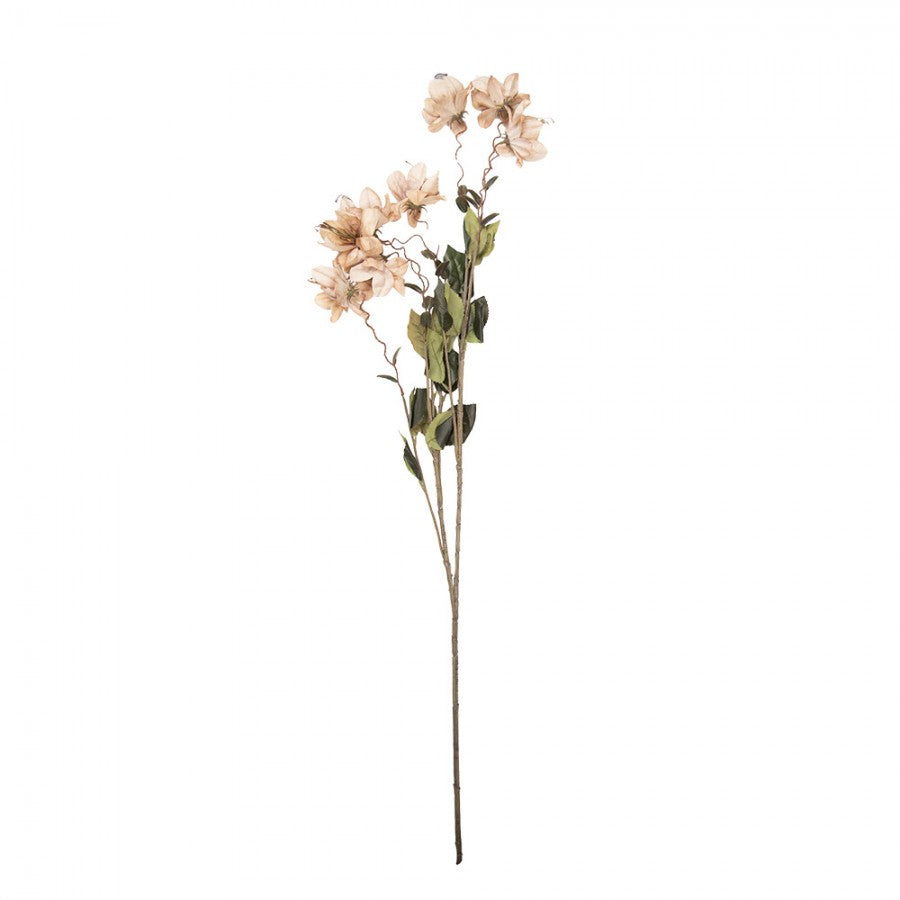 Clayre & Eef Deko-Blütenzweig XXL 120 cm Beige – Großast (5PL0258BE)