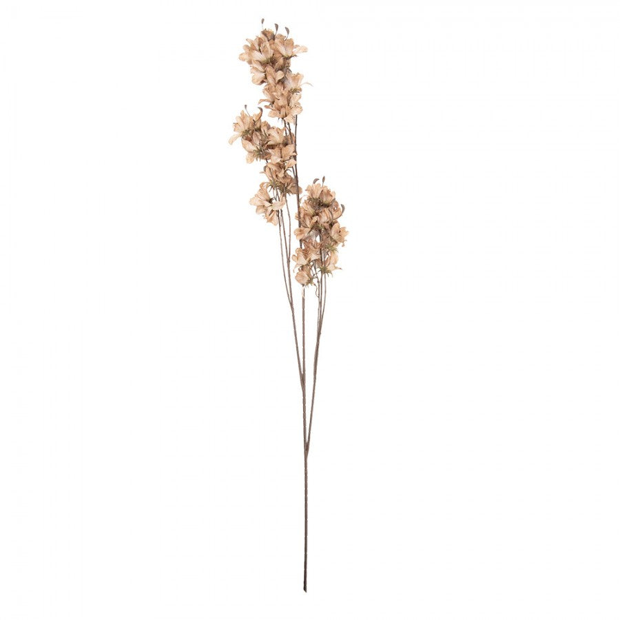 Clayre & Eef Deko-Blütenzweig XXL 120 cm Beige – Fächerast (5PL0263BE)