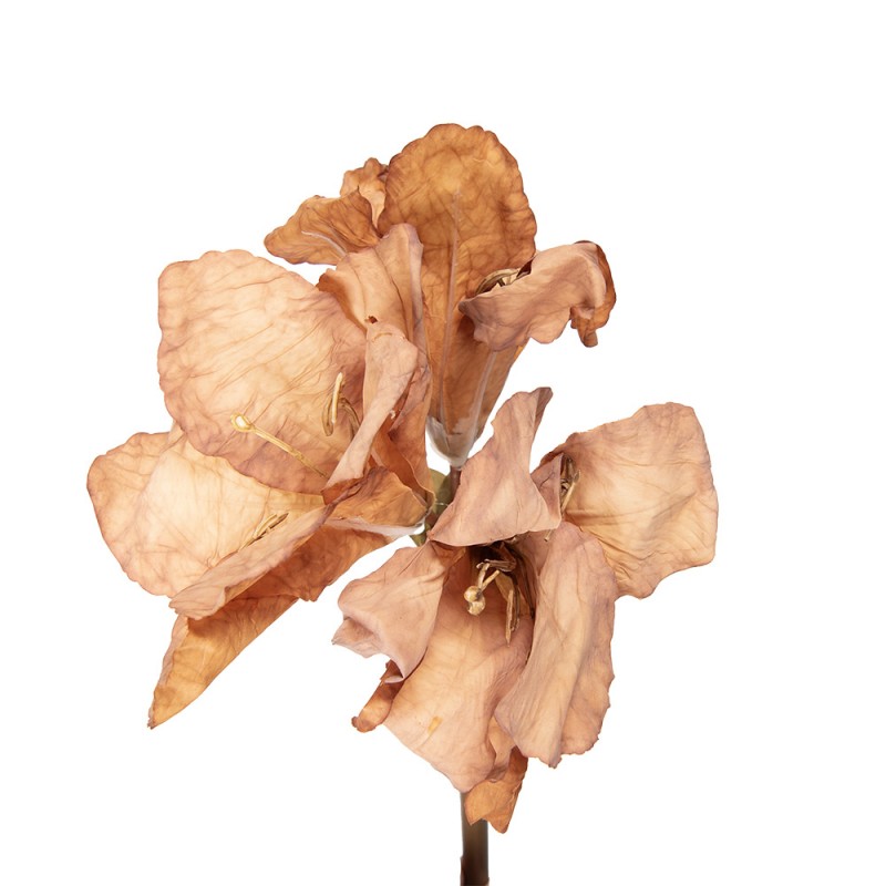 Clayre & Eef Kunstblume 65 cm Beige – Großblütiger Einzelstiel (5PL0264BE)