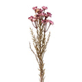 Clayre & Eef Deko-Blütenzweig 77 cm Rosa – Romantischer Blütenast (5PL0290P)
