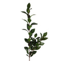 Clayre & Eef Deko-Zweig XXL 140 cm – Monumentaler Naturast (5PL0314)