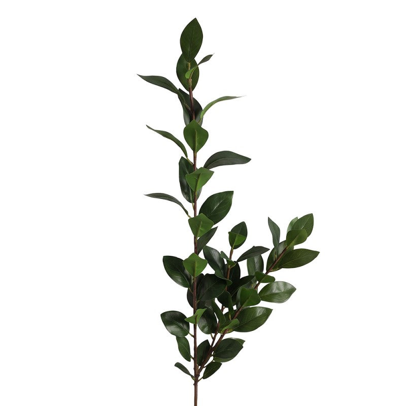 Clayre & Eef Deko-Zweig XXL 140 cm – Monumentaler Naturast (5PL0314)