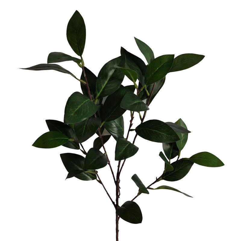 Clayre & Eef Deko-Zweig 85 cm – Kompakter Naturast (5PL0320)