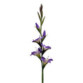 Clayre & Eef Deko-Blütenzweig 92 cm Violett / Lila – Landhaus-Ast (5PL0330PA)