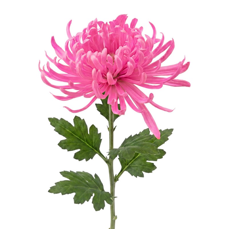 Clayre & Eef Deko-Blütenzweig 76 cm Rosa – Landhaus-Ast (5PL0335P)