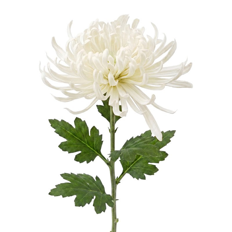 Clayre & Eef Deko-Blütenzweig 76 cm Weiß – Landhaus-Ast Reinweiß (5PL0335W)
