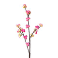 Clayre & Eef Deko-Zweig 85 cm – Strukturierter Naturast (5PL0342)