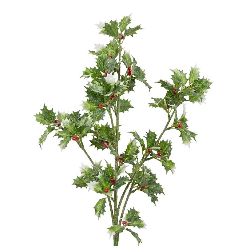 Clayre & Eef Deko-Zweig 77 cm – Standfester Gehölzast Stechapfel (5PL0363)