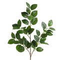 Clayre & Eef Deko-Zweig 90 cm – Strukturierter Naturast Kirschlorbeer (5PL0366)