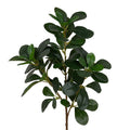 Clayre & Eef Deko-Zweig 78 cm – Feiner Gehölzast Kirschlorbeer (5PL0370)