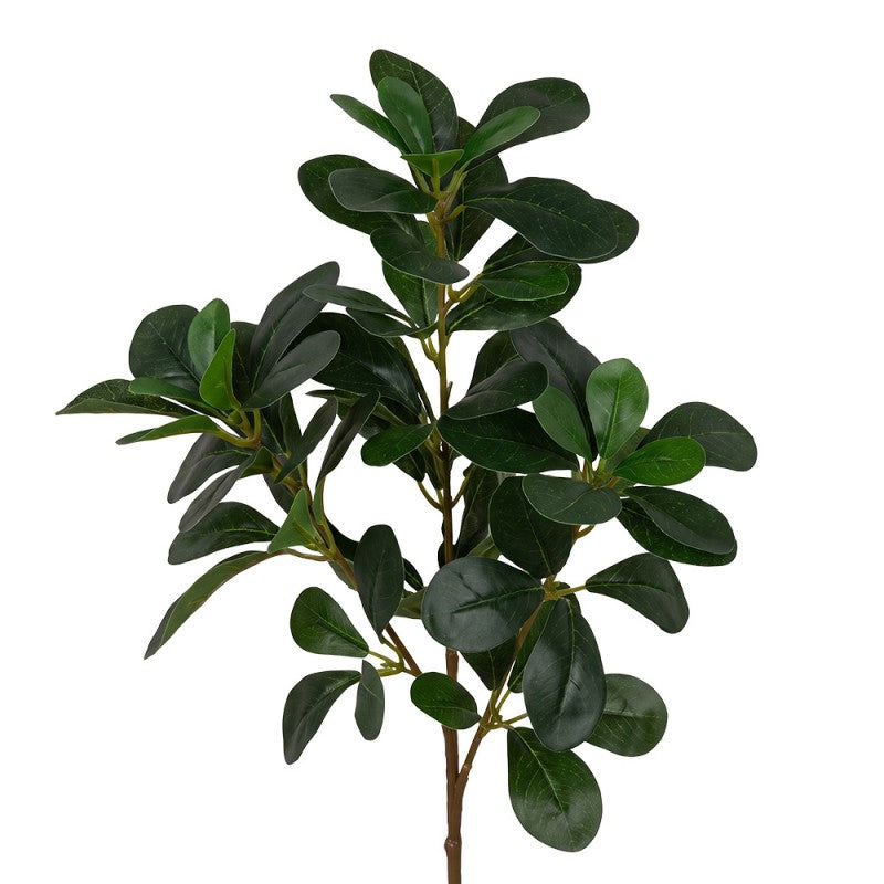 Clayre & Eef Deko-Zweig 78 cm – Feiner Gehölzast Kirschlorbeer (5PL0370)