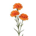 Clayre & Eef Deko-Blütenzweig Orange – Landhaus-Ast (5PL0379O)