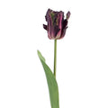 Clayre & Eef Deko-Blütenzweig 61 cm Tulpe / Aqua – Zierast (5PL0385A)