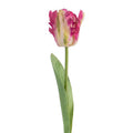 Clayre & Eef Deko-Blütenzweig 61 cm  Tulpie / Magenta – Zierast (5PL0385F)
