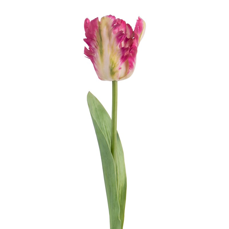 Clayre & Eef Deko-Blütenzweig 61 cm  Tulpie / Magenta – Zierast (5PL0385F)