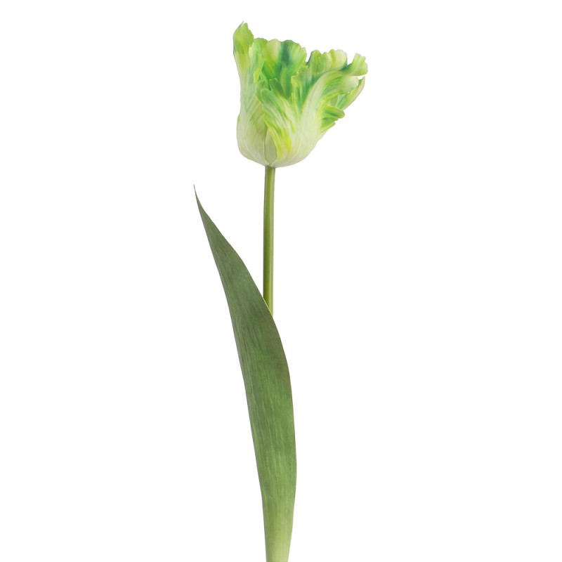 Clayre & Eef Deko-Blütenzweig 61 cm Grün – Botanischer Zierast (5PL0385GR)