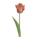 Clayre & Eef Deko-Blütenzweig 61 cm Orange – Tulpe (5PL0385O)