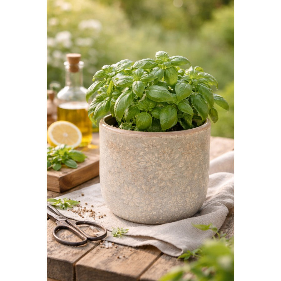 Clayre & Eef Blumentopf „Kalk-Rille“ aus Keramik in Terrakottabeige, Ø 18 cm (6CE2409L)