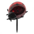 LED-Solar-Gartenstecker Marienkäfer Rot Kunststoff 7x6x14 cm von Clayre & Eef (6LMS0003)