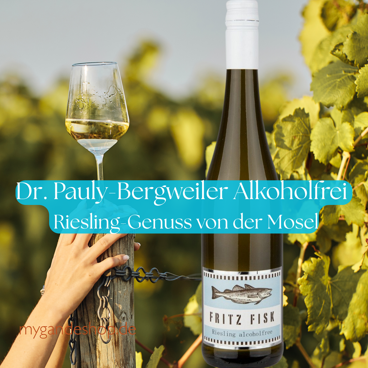 Dr. Pauly-Bergweiler Riesling Alkoholfrei – Feiner Moselgenuss