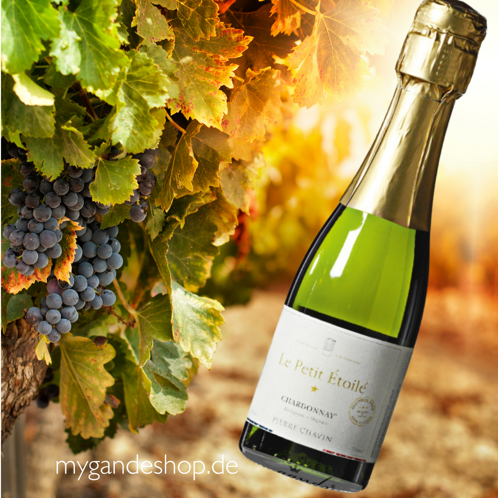 Le Petit Étoilé Chardonnay Piccolo 0,0 % Alkoholfreier Bio-Schaumwein 0,2 l – Veganer Mini-Sekt