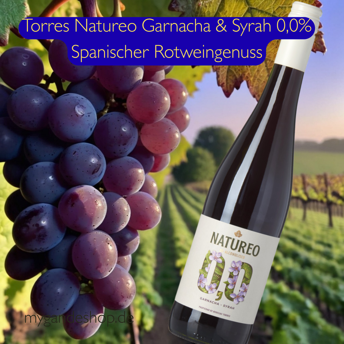 Torres Natureo Garnacha & Syrah 0,0% – Alkoholfreier Rotwein