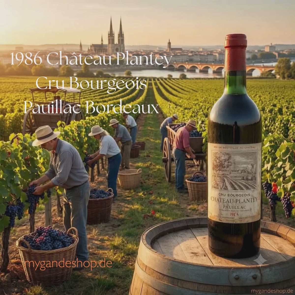 1986 Château Plantey Cru Bourgeois Pauillac Bordeaux Frankreich
